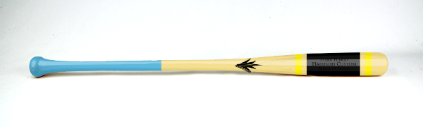 Custom Fungo Bat